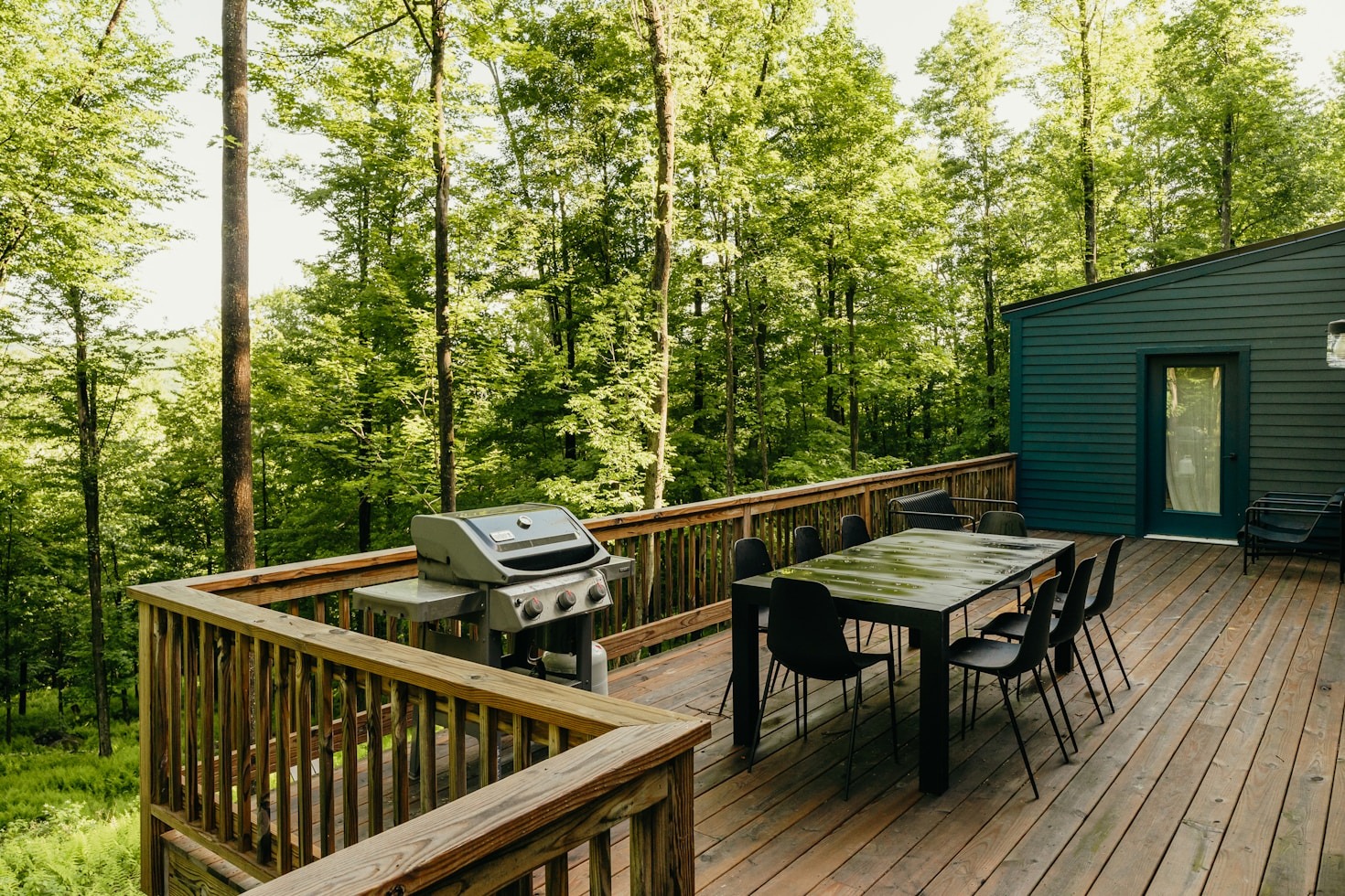 Why Cedar and Pine Decks Deserve Specialized Care